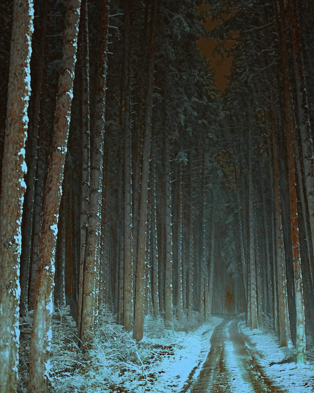 To the Black Lodge To the Black Lodge